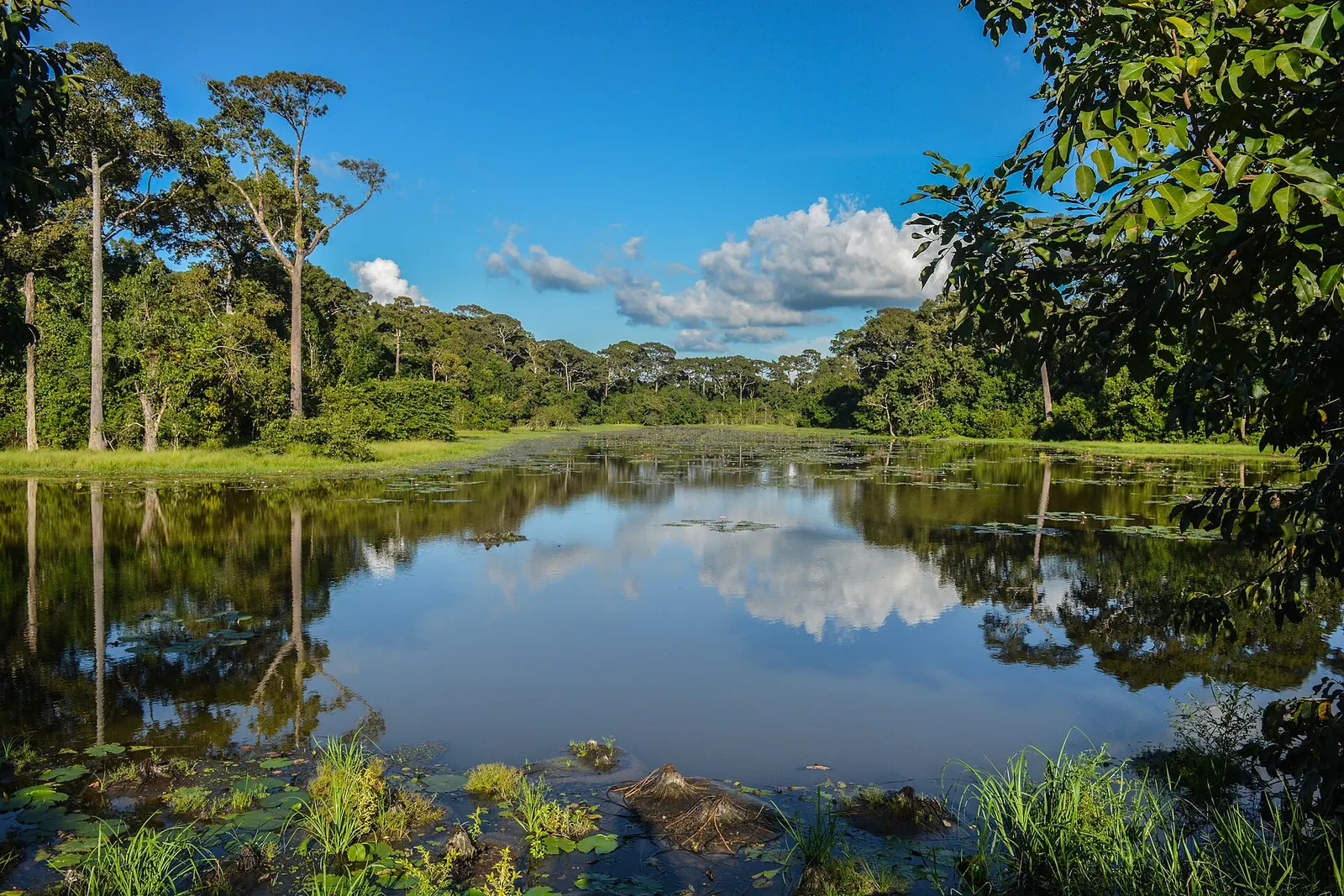 Bangladesh