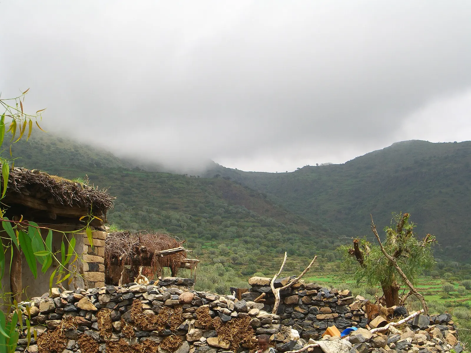 Eritrea