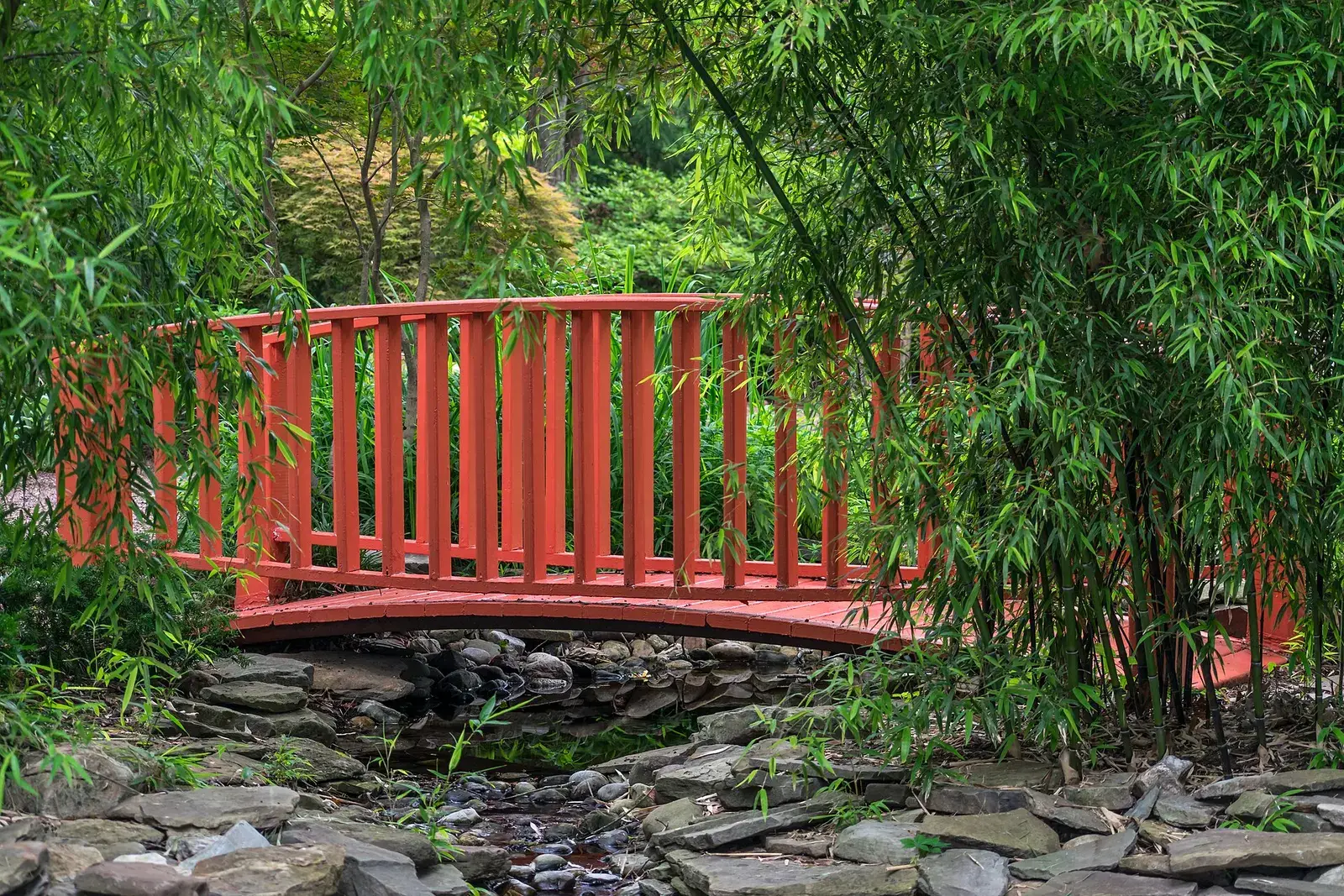 Een rode brug over een vijver in een Japanse tuin