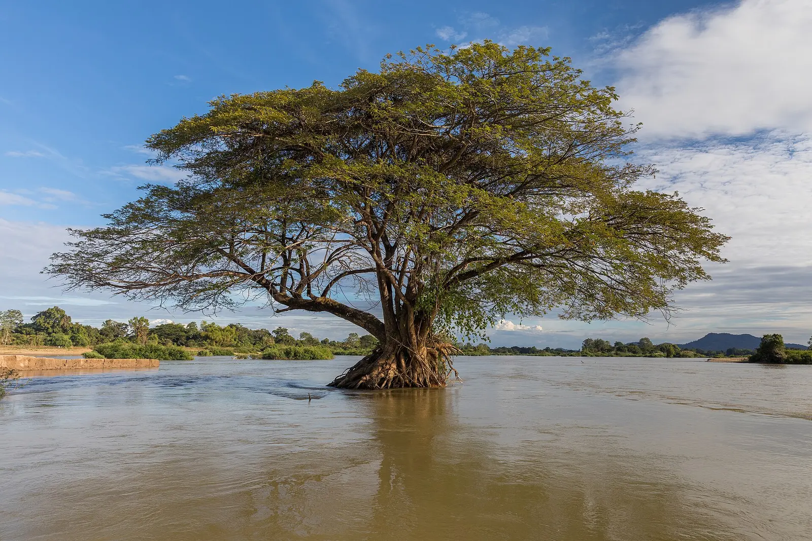 Laos