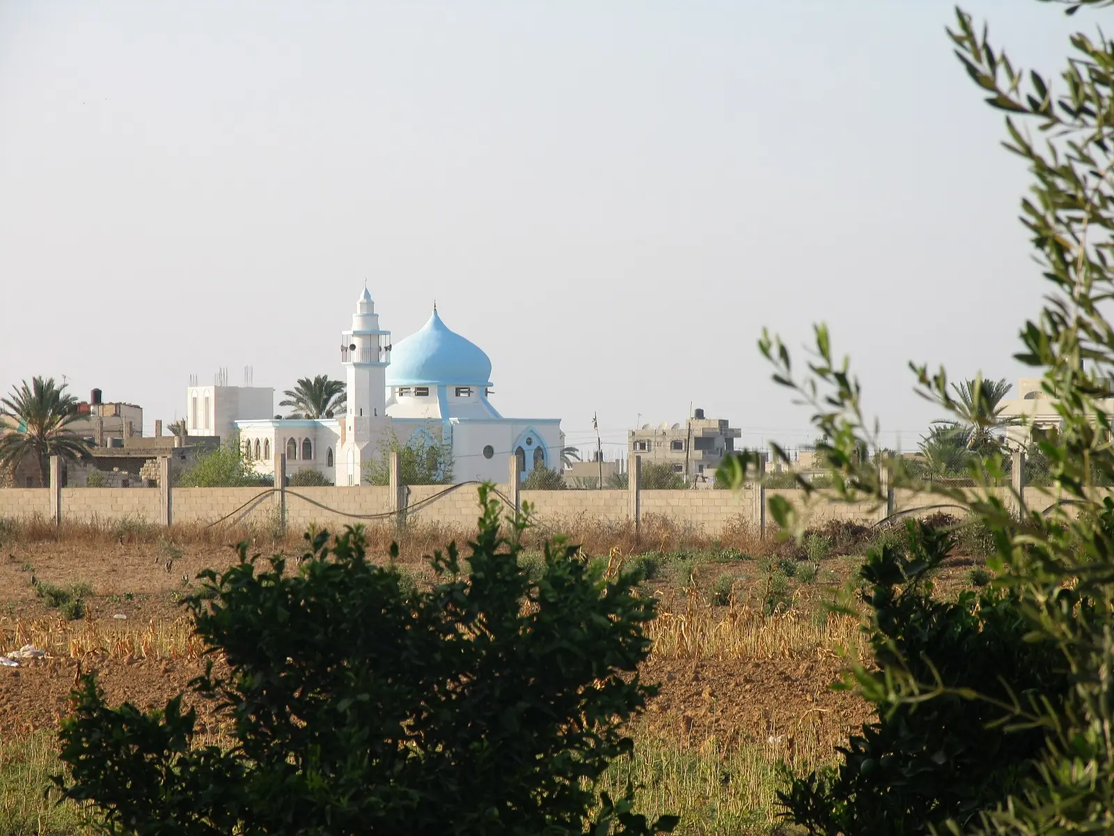 Palestijnse gebieden