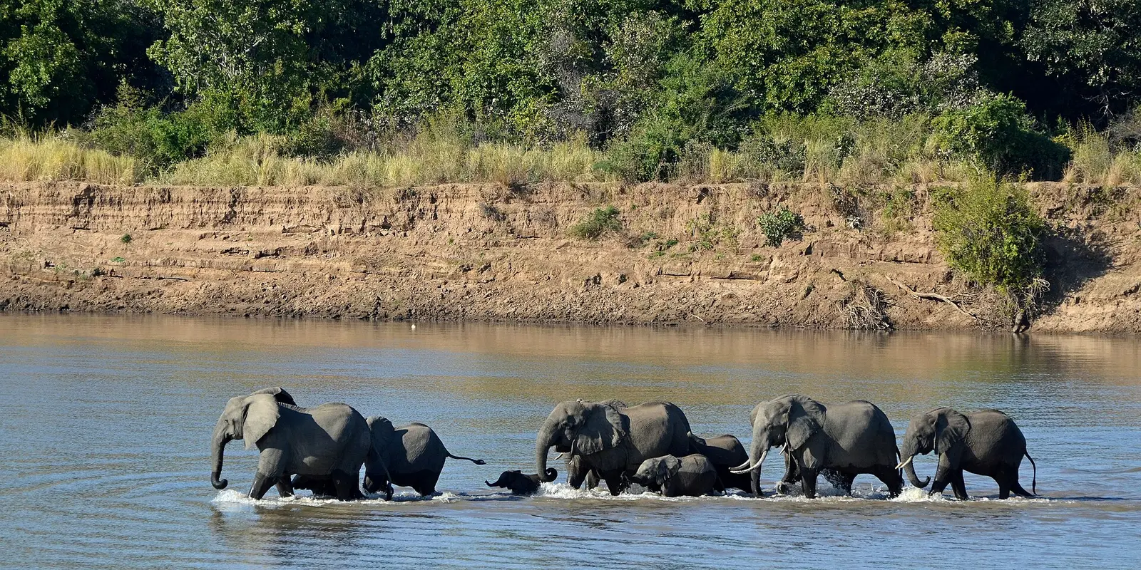Zambia