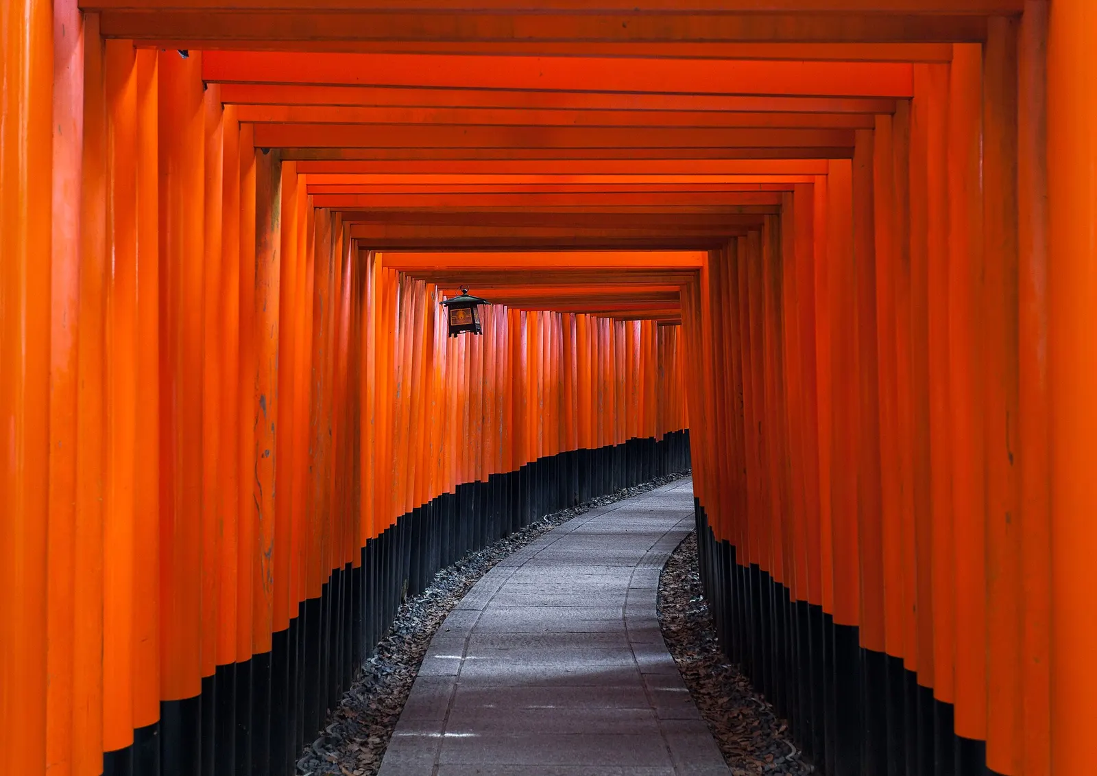 Rode torii-poorten van Fushimi Inari in Kyoto