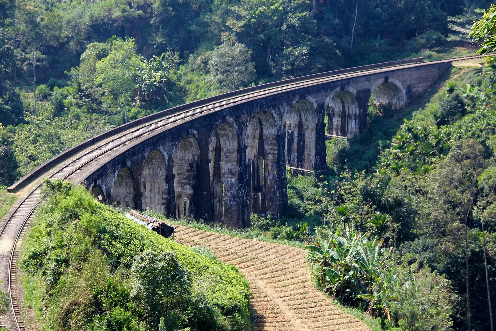 Trein over de Nine Arch Bridge tussen de theeplantages bij Ella, Sri Lanka