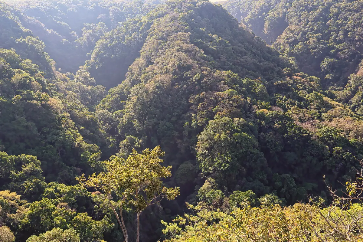 Monteverde, Costa Rica