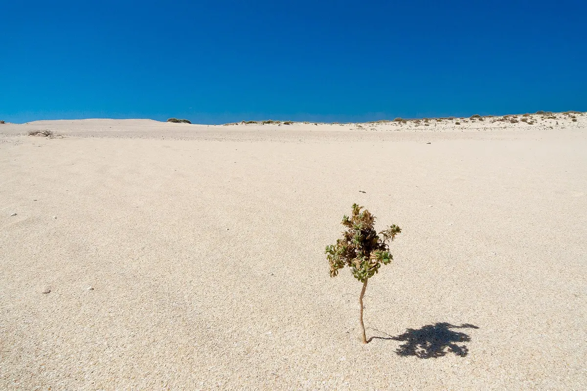 Corralejo, Fuerteventura