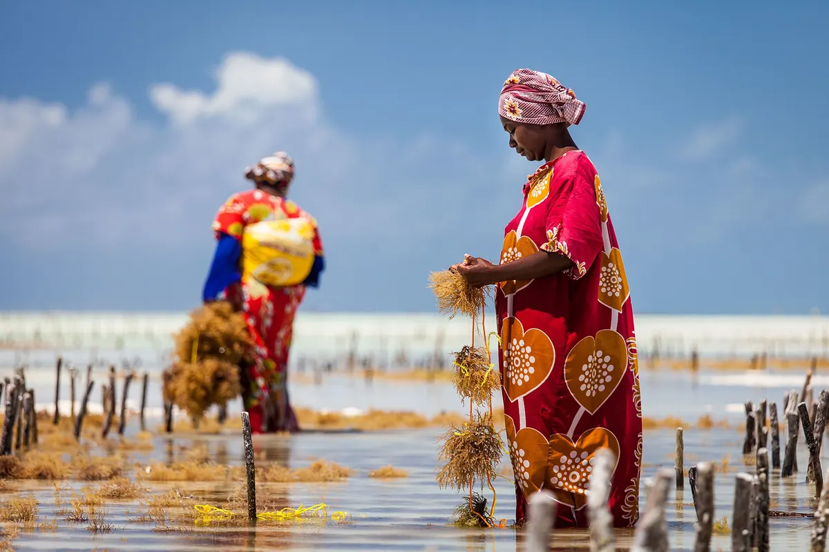 Jambiani, Zanzibar
