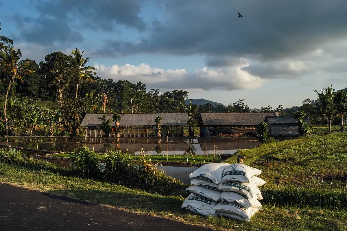 Sidemen, Indonesië