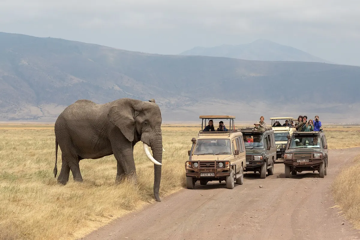Karatu en de Ngorongoro, Tanzania