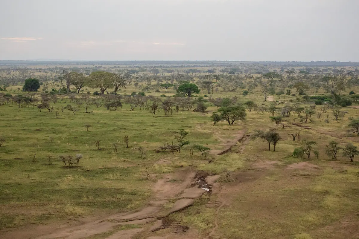 Serengeti, Tanzania