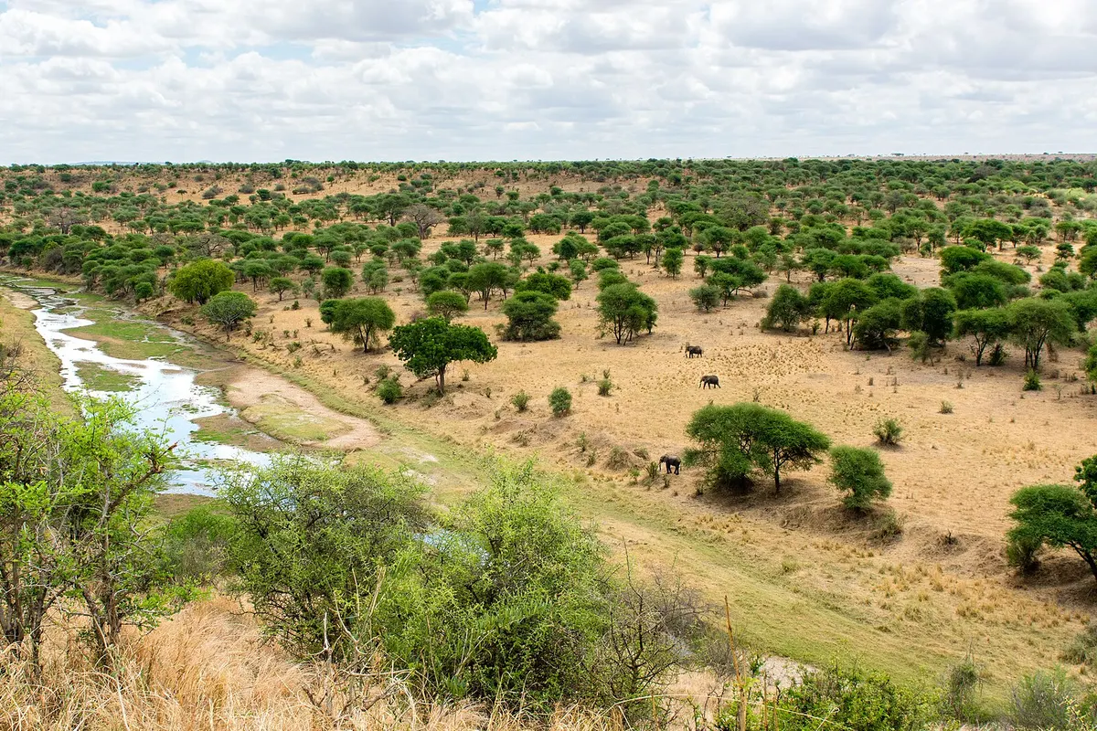 Tarangire, Tanzania