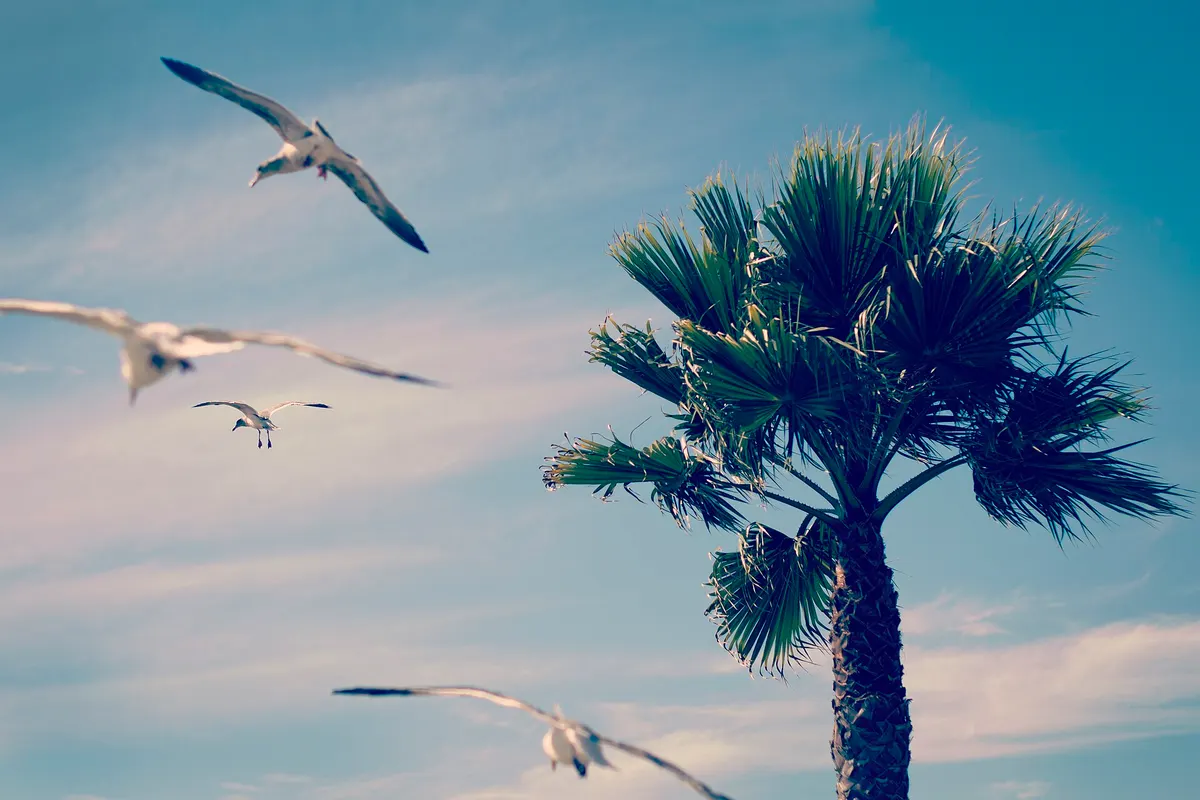 Pismo Beach, Verenigde Staten