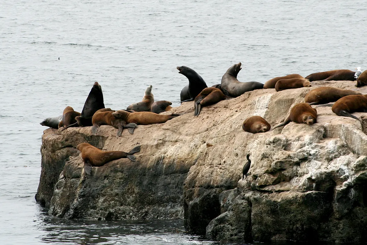 Monterey en Santa Cruz, Verenigde Staten