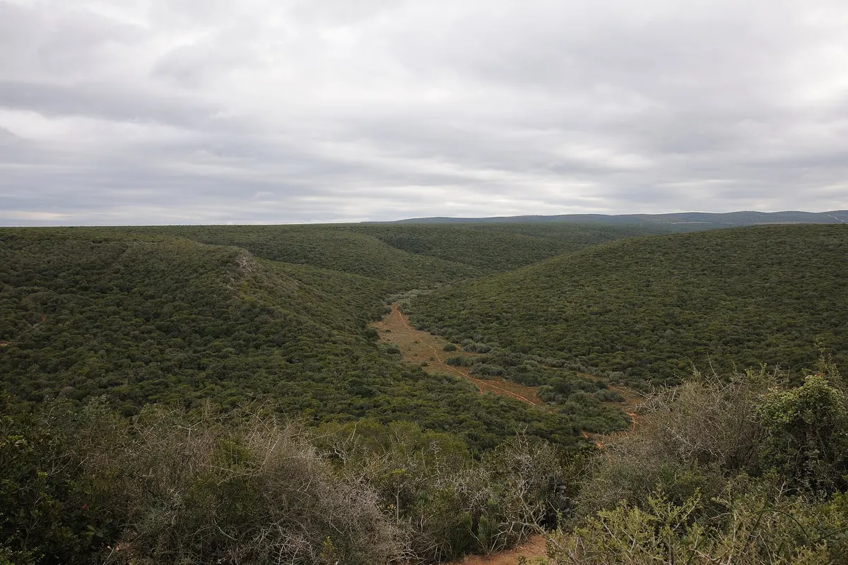 Addo Elephant National Park, Zuid-Afrika