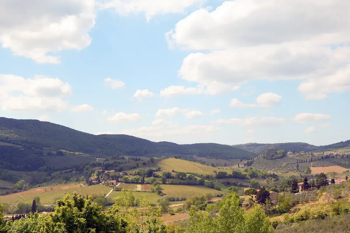 Glooiende Toscaanse heuvels met wijngaarden, gezien vanaf San Gimignano